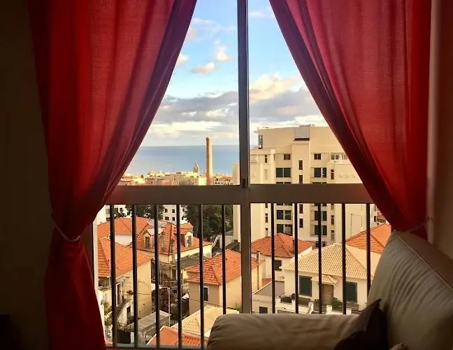 Olivia's Place Apartment