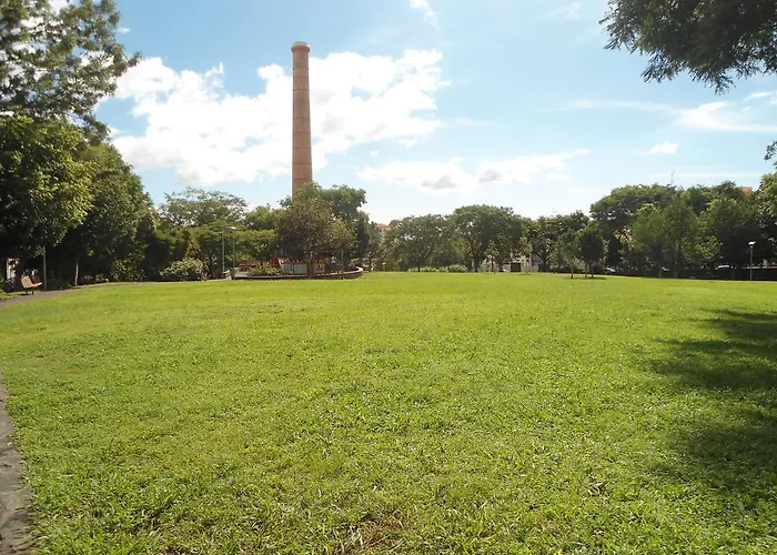 Olivia's Place Apartment